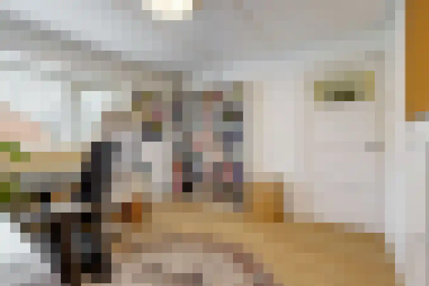 Da Costalaan 31 Driehuis NH thumbnail 20