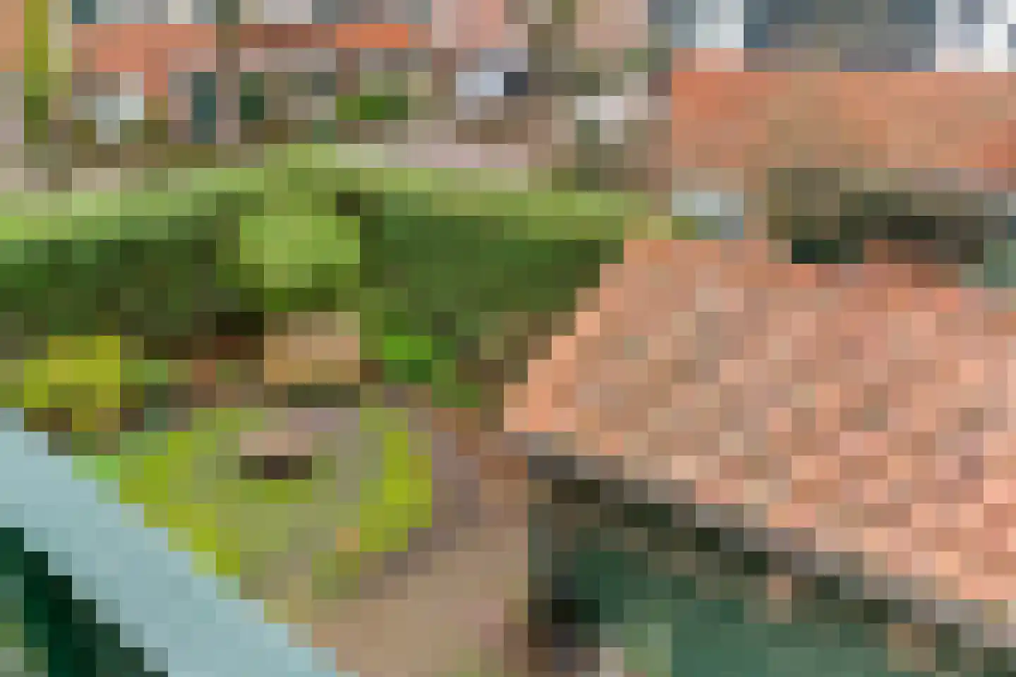 Da Costalaan 31 Driehuis NH thumbnail 34