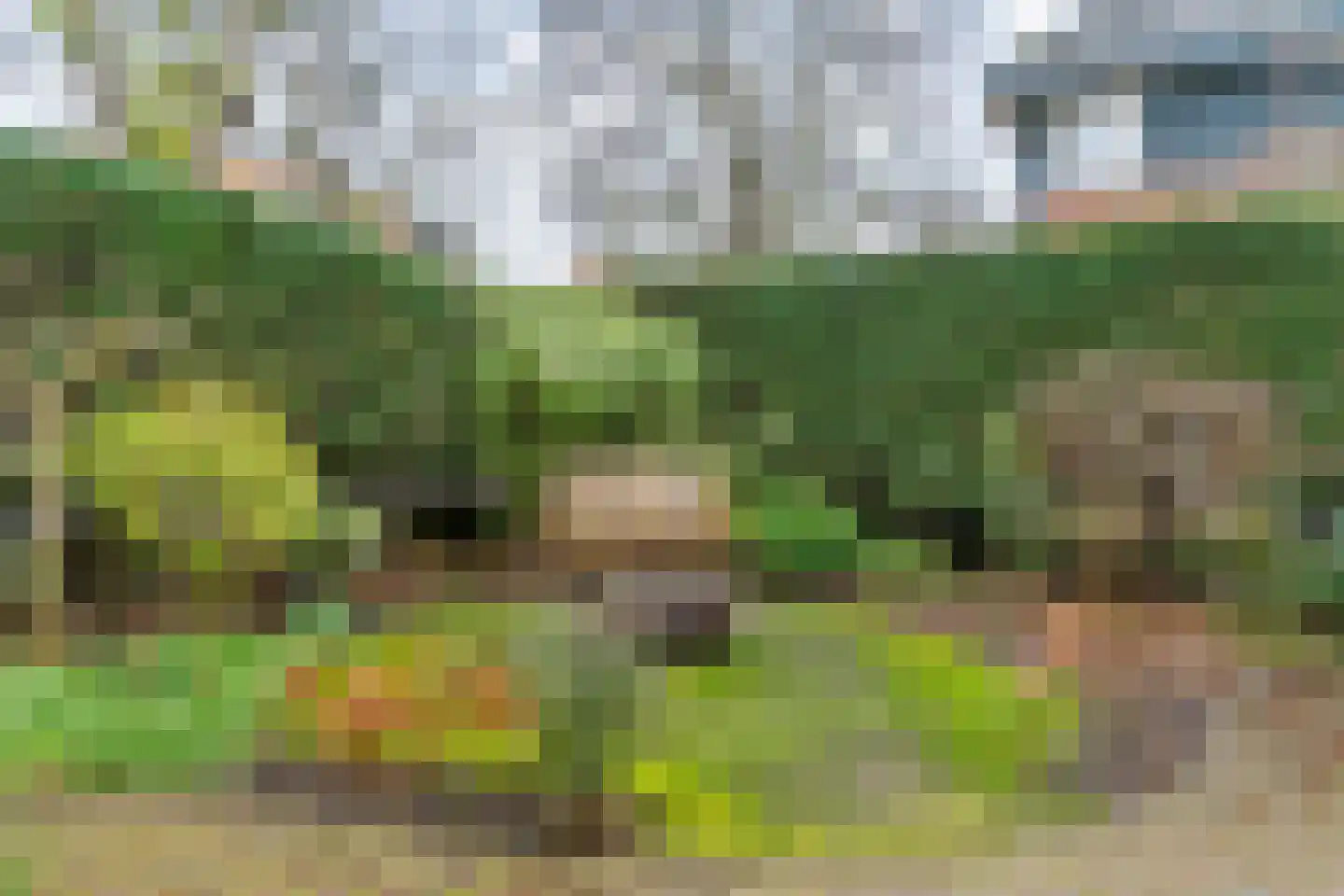Da Costalaan 31 Driehuis NH thumbnail 35