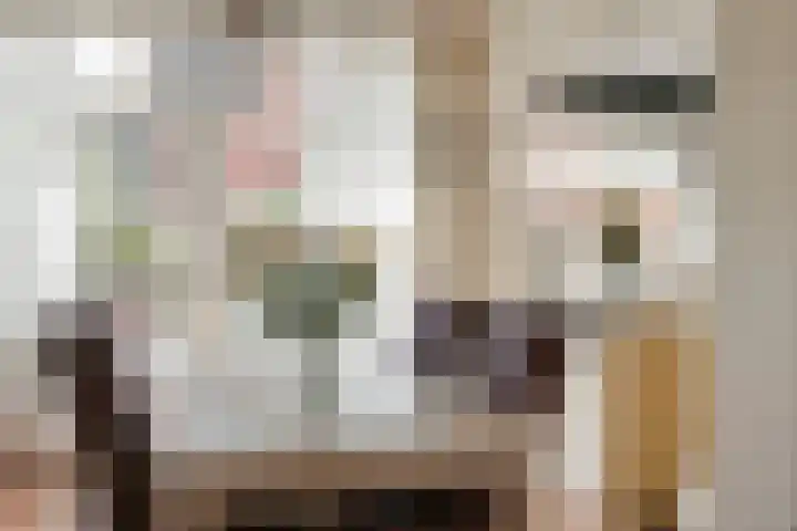 Da Costalaan 34 Driehuis NH thumbnail 16