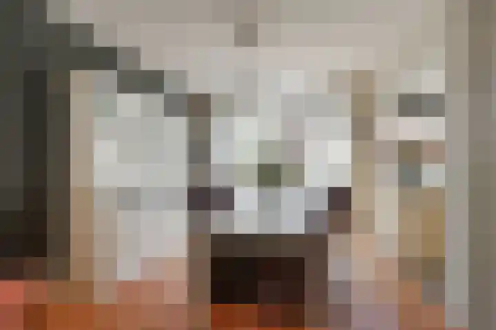 Da Costalaan 34 Driehuis NH thumbnail 17