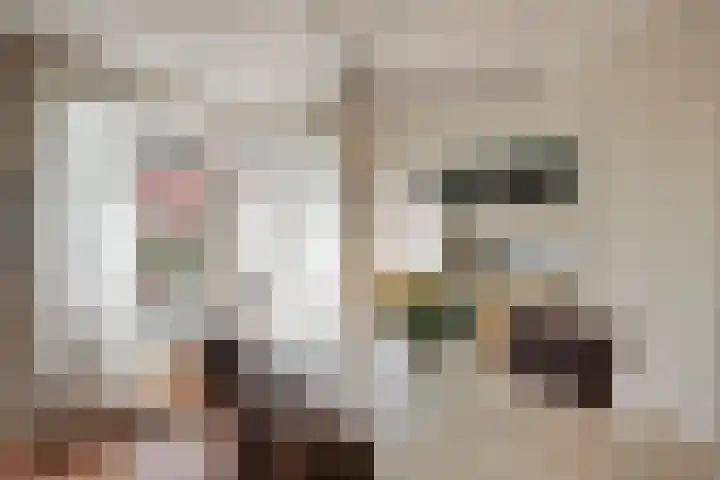 Da Costalaan 34 Driehuis NH thumbnail 19