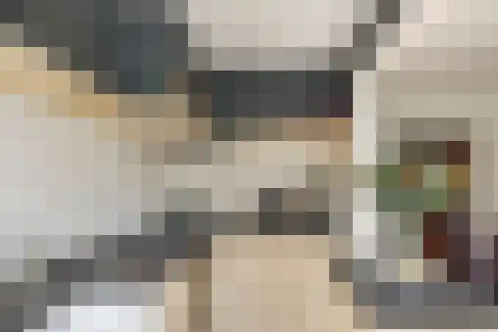 Da Costalaan 34 Driehuis NH thumbnail 23