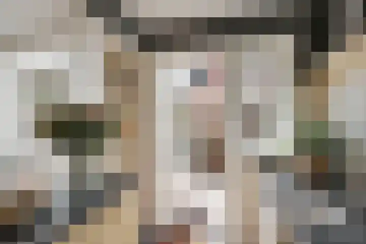 Da Costalaan 34 Driehuis NH thumbnail 25