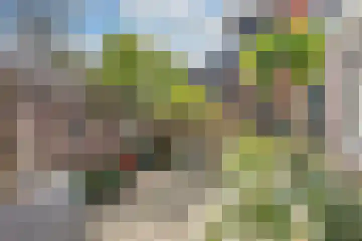 Da Costalaan 34 Driehuis NH thumbnail 27