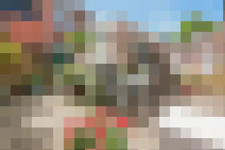 Da Costalaan 34 Driehuis NH thumbnail 28