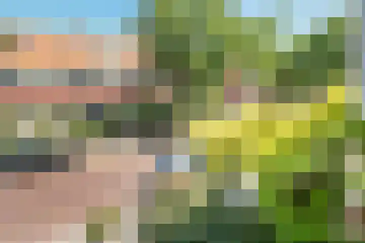 Da Costalaan 34 Driehuis NH thumbnail 38