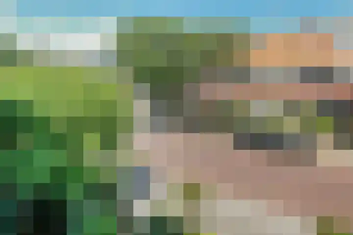 Da Costalaan 34 Driehuis NH thumbnail 39
