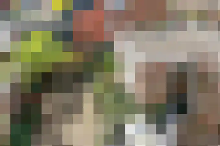 Da Costalaan 34 Driehuis NH thumbnail 42
