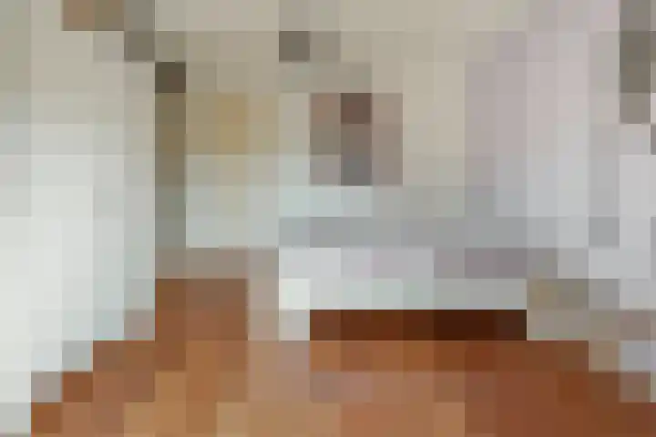 Da Costalaan 34 Driehuis NH thumbnail 43