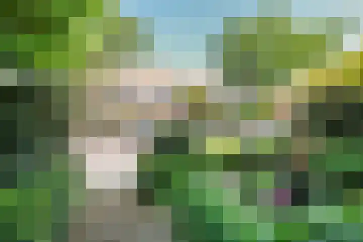 Da Costalaan 34 Driehuis NH thumbnail 54