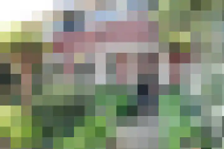 Da Costalaan 34 Driehuis NH thumbnail 56