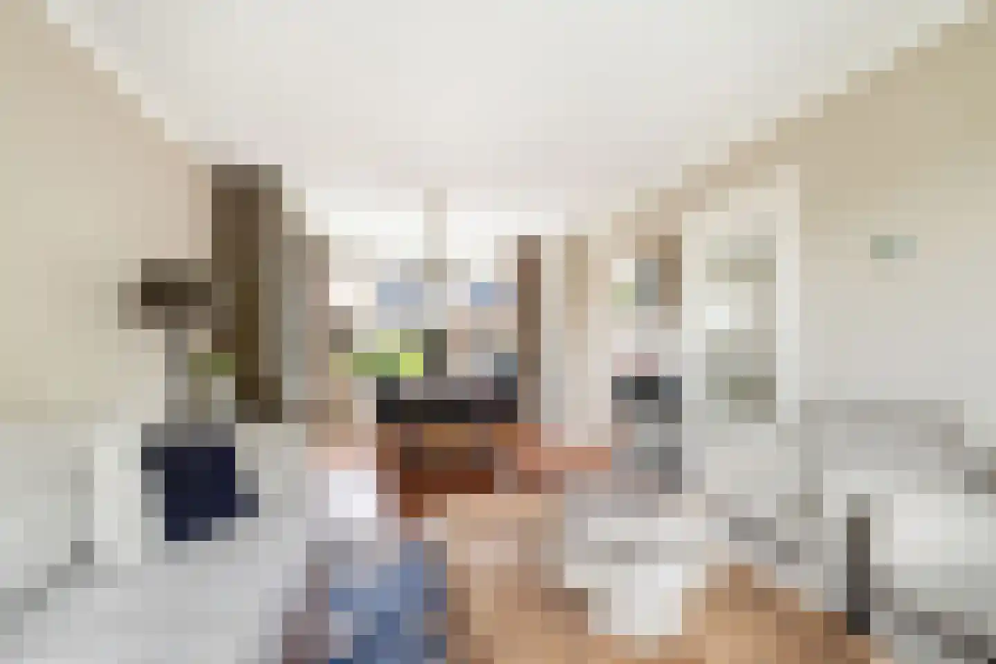 Da Costalaan 4 Ridderkerk thumbnail 10