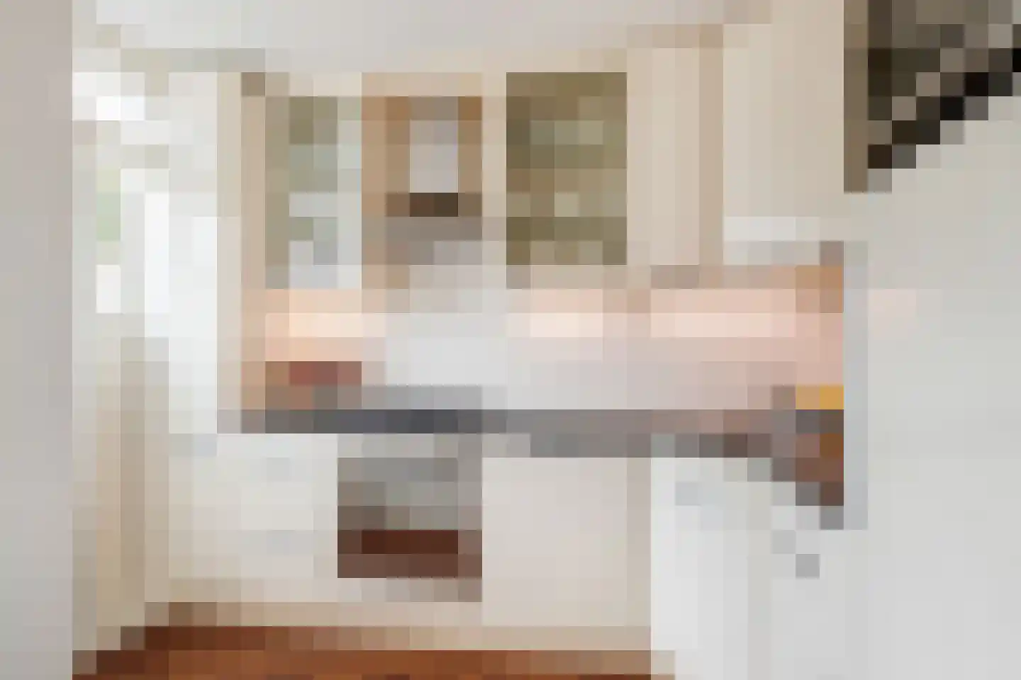 Da Costalaan 4 Ridderkerk thumbnail 13