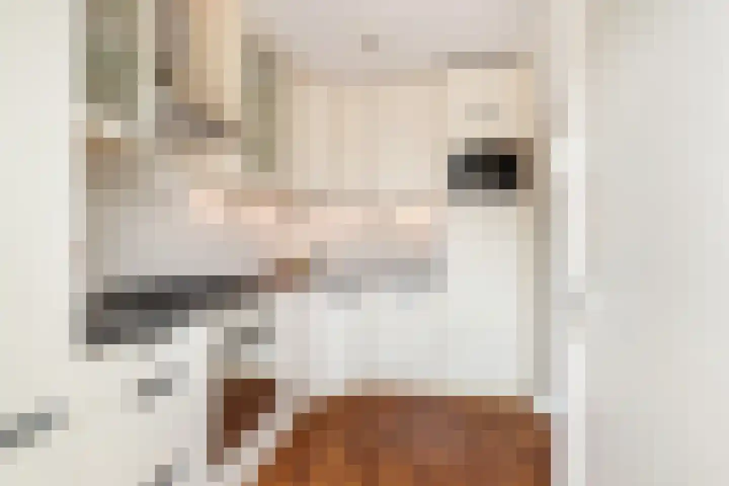 Da Costalaan 4 Ridderkerk thumbnail 14