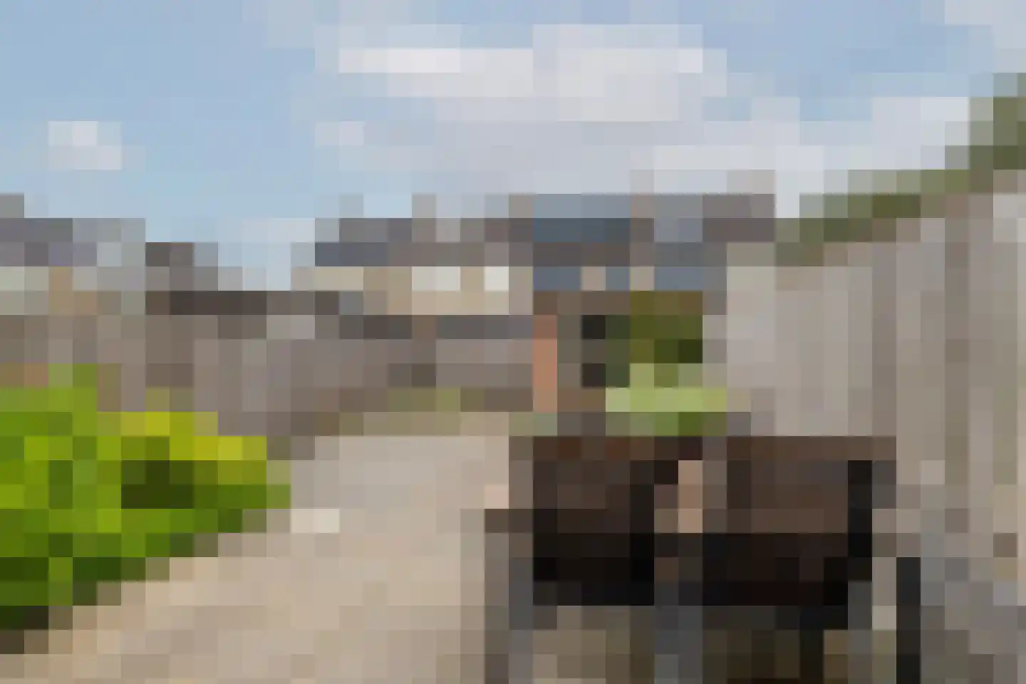 Da Costalaan 4 Ridderkerk thumbnail 15