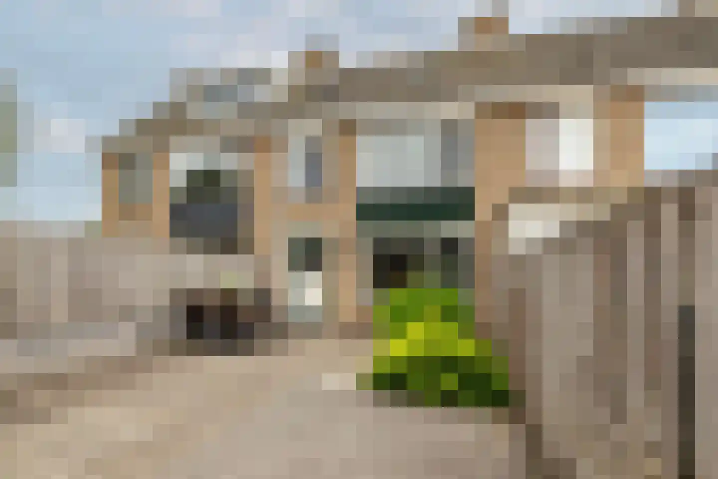 Da Costalaan 4 Ridderkerk thumbnail 18