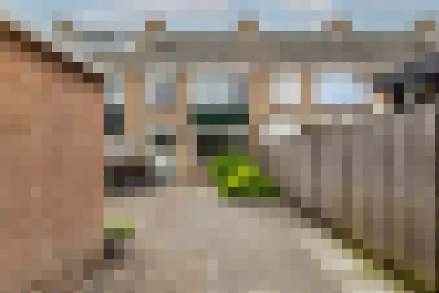 Da Costalaan 4 Ridderkerk thumbnail 19