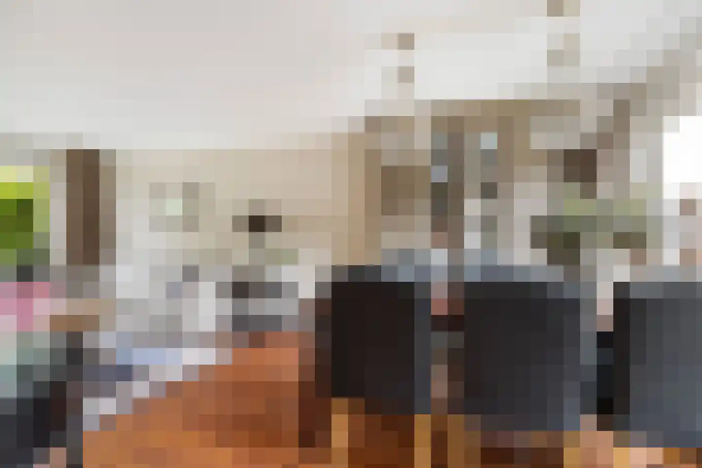 Da Costalaan 4 Ridderkerk thumbnail 20