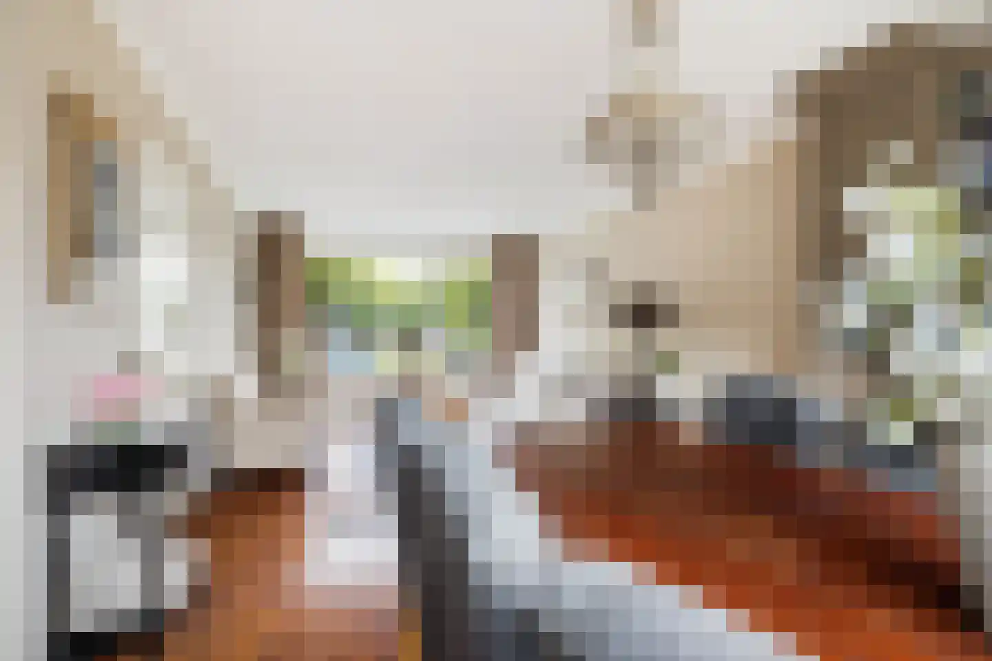 Da Costalaan 4 Ridderkerk thumbnail 21