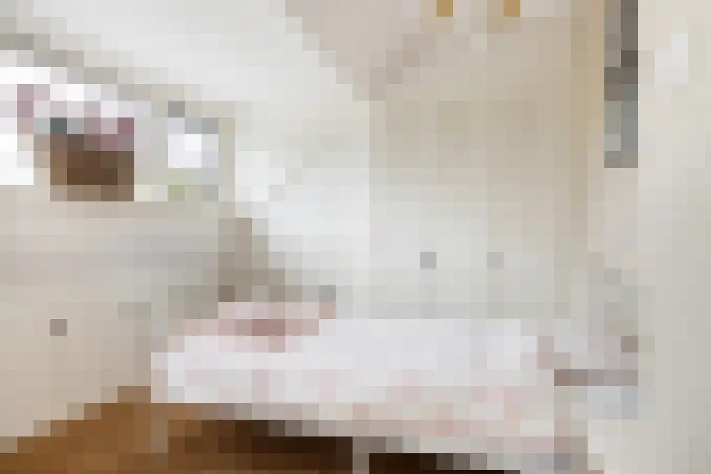 Da Costalaan 4 Ridderkerk thumbnail 35