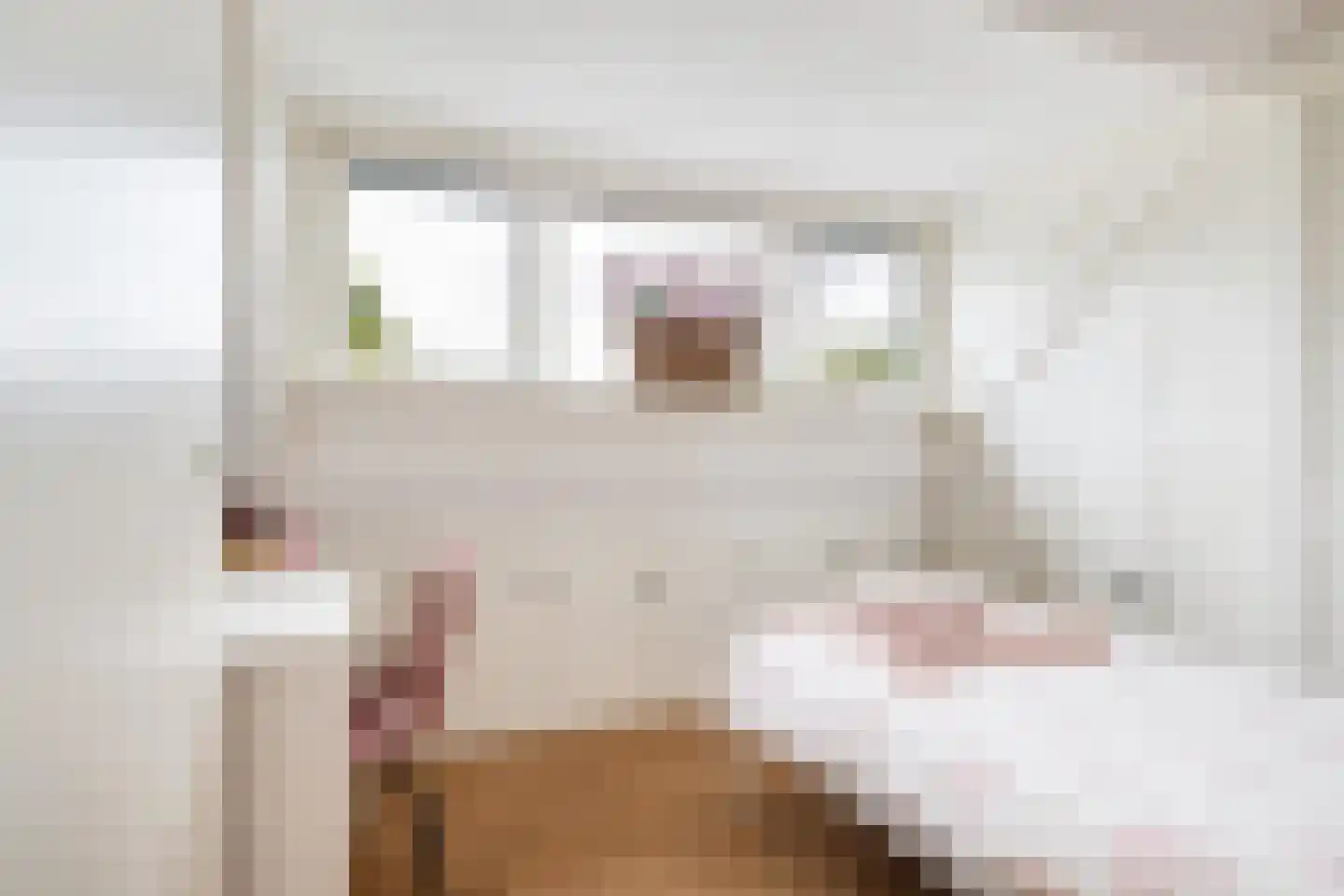 Da Costalaan 4 Ridderkerk thumbnail 36