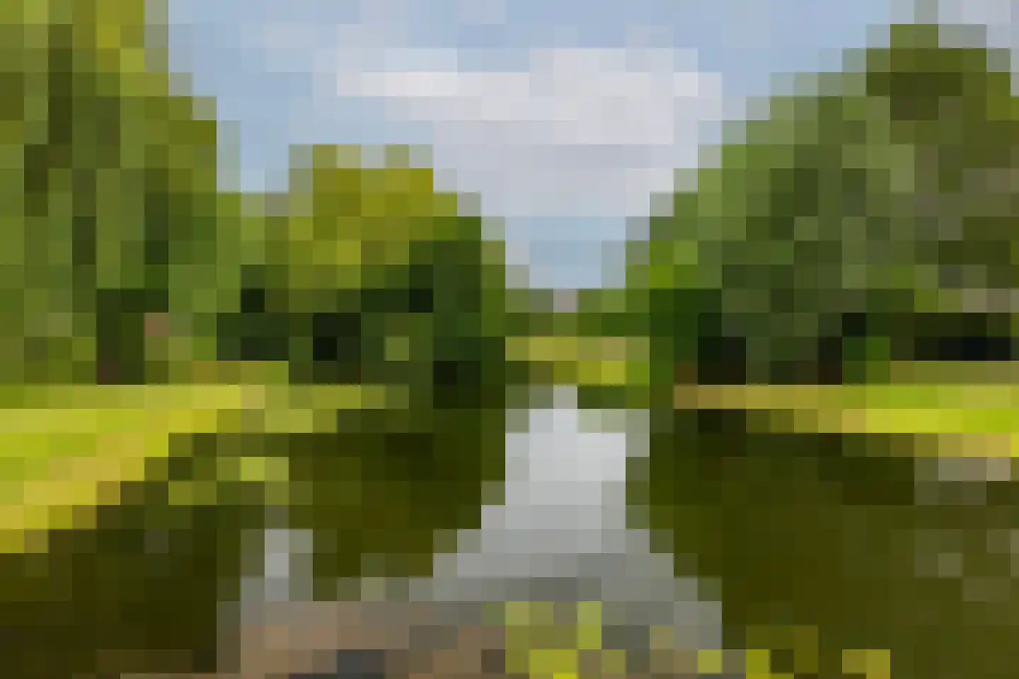 Da Costalaan 4 Ridderkerk thumbnail 41