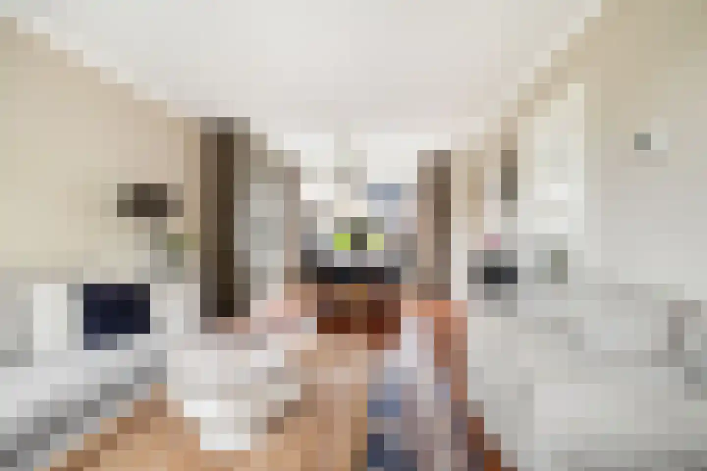 Da Costalaan 4 Ridderkerk thumbnail 9