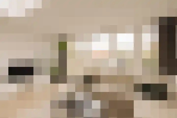 Da Costalaan 40 Amstelveen thumbnail 18