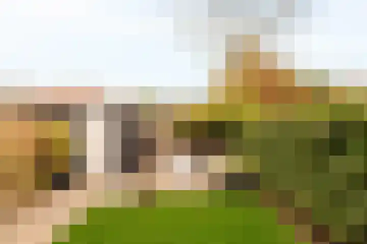 Da Costalaan 40 Amstelveen thumbnail 21