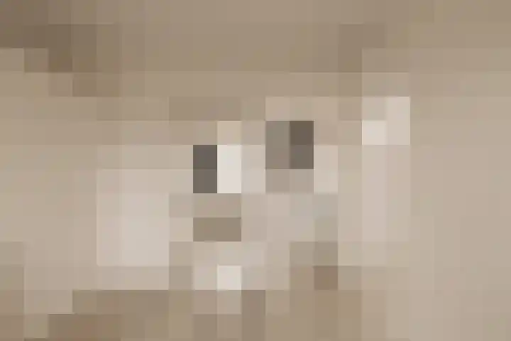 Da Costalaan 40 Amstelveen thumbnail 37