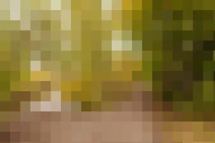 Da Costalaan 40 Amstelveen thumbnail 40