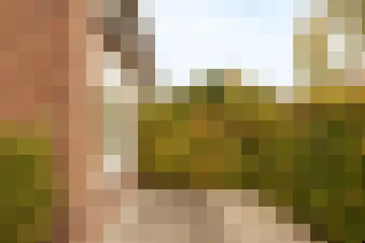 Da Costalaan 40 Amstelveen thumbnail 6