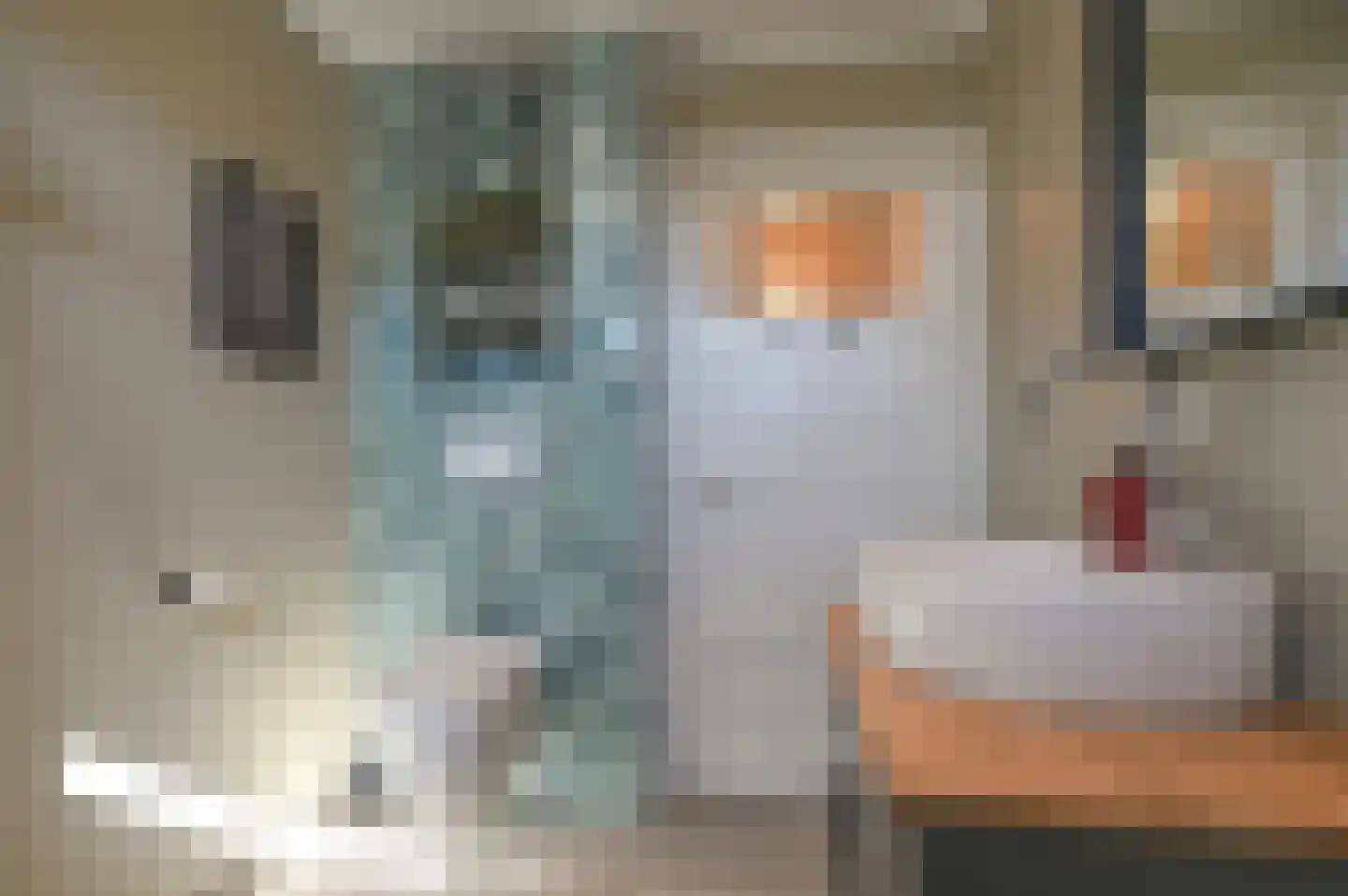 Da Costalaan 42 Driehuis NH thumbnail 30