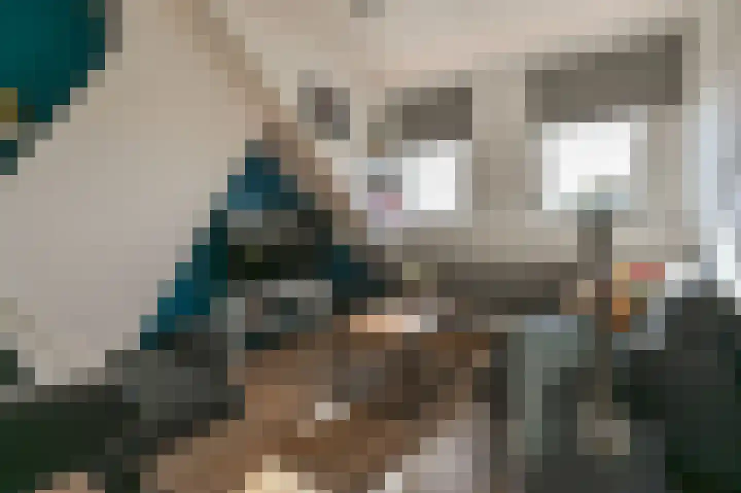 Da Costalaan 42 Driehuis NH thumbnail 33