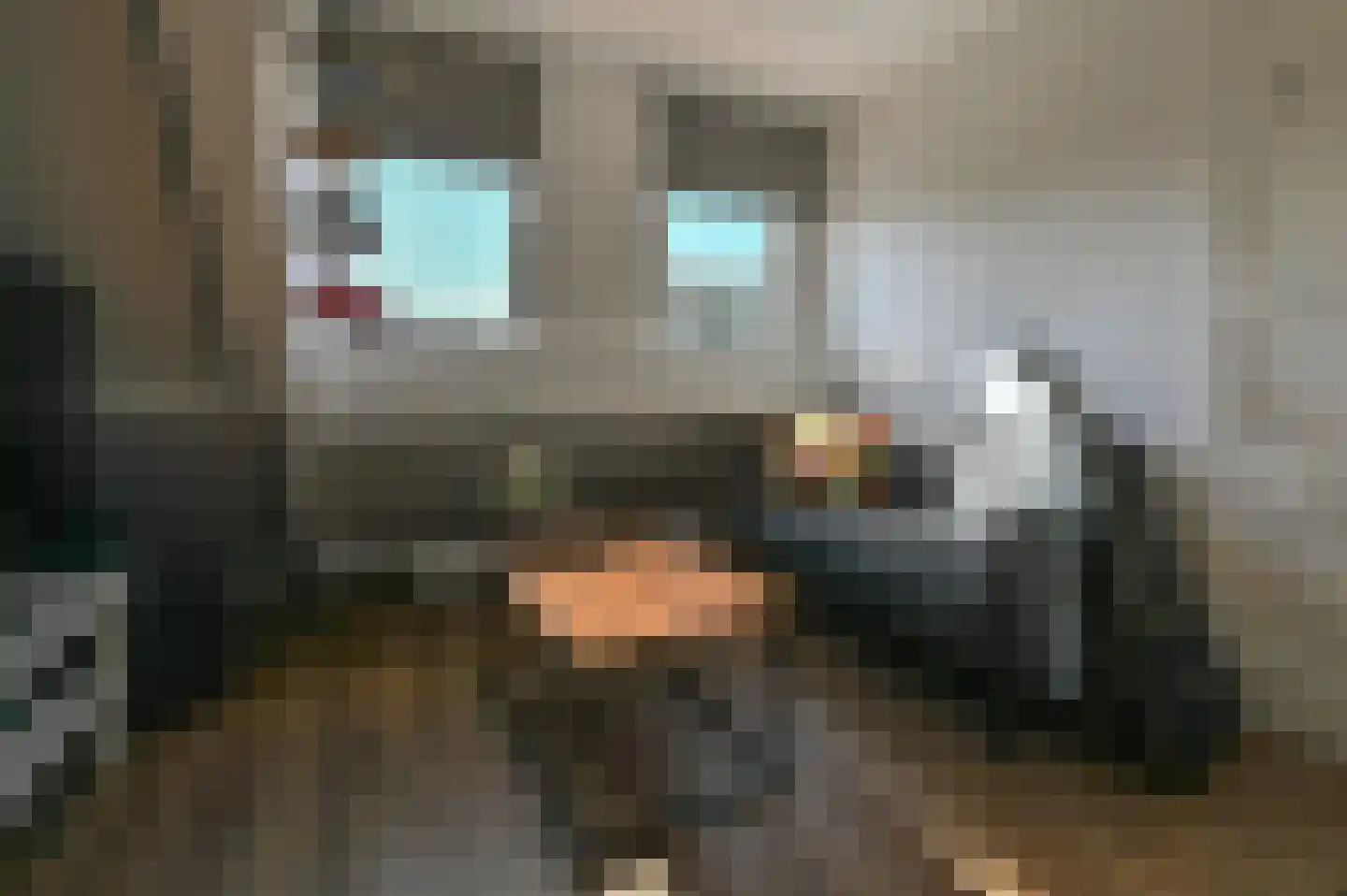 Da Costalaan 42 Driehuis NH thumbnail 34