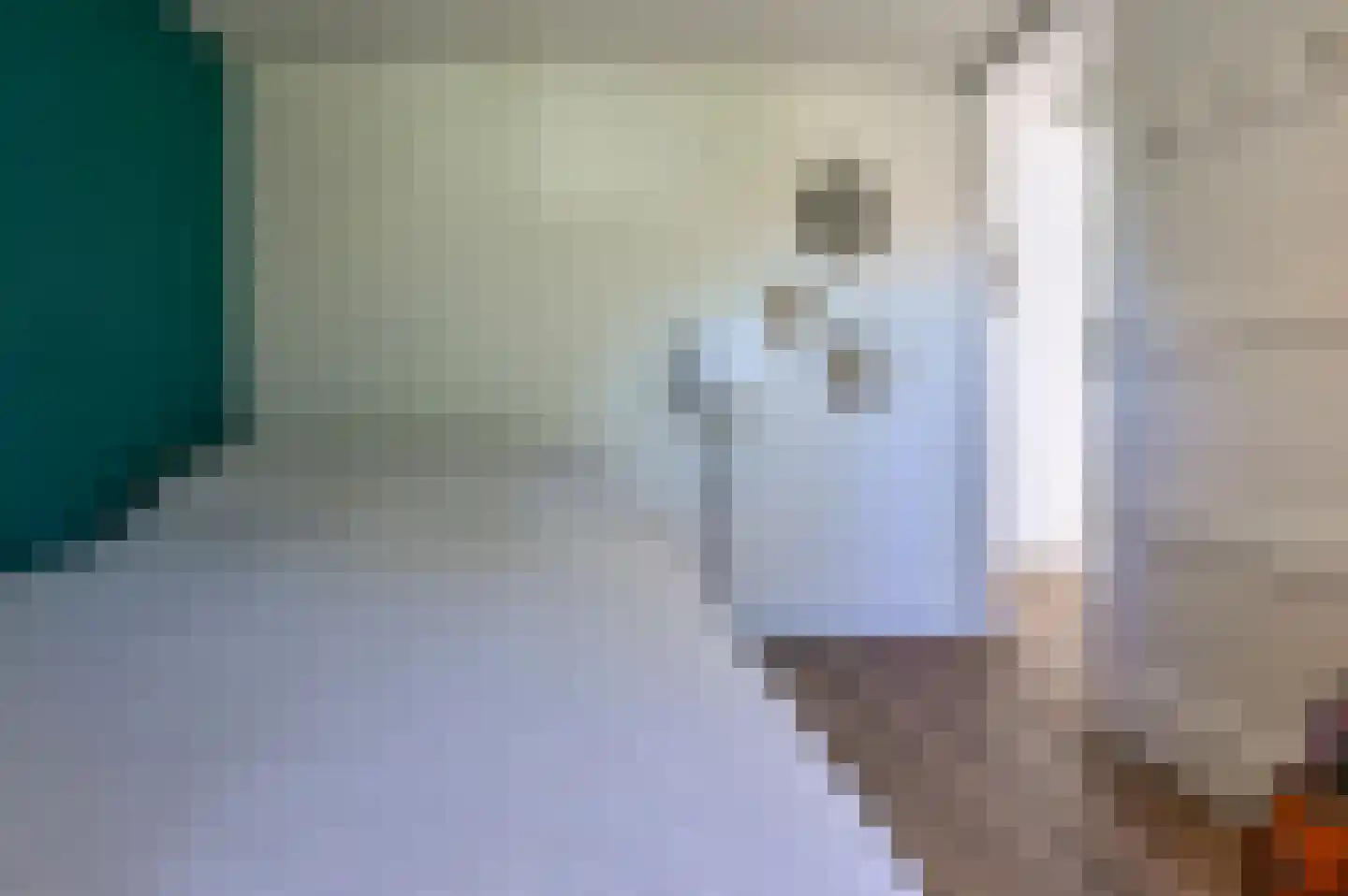 Da Costalaan 42 Driehuis NH thumbnail 39