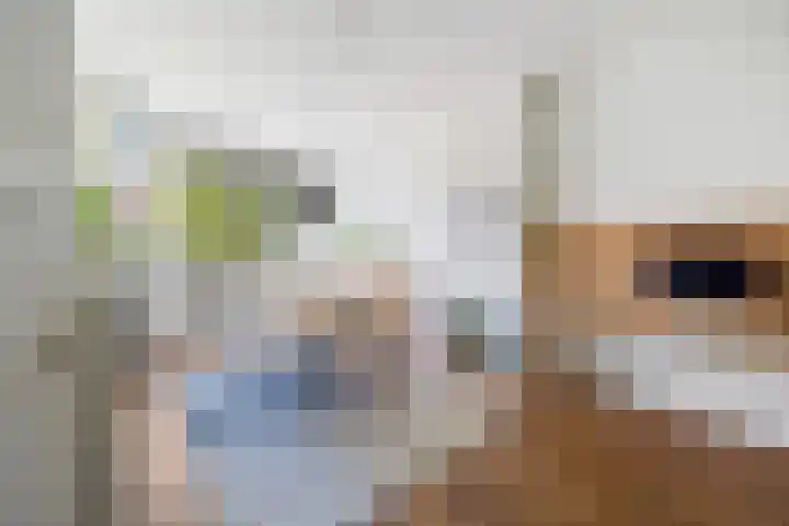 Da Costalaan 60 Rijswijk thumbnail 14
