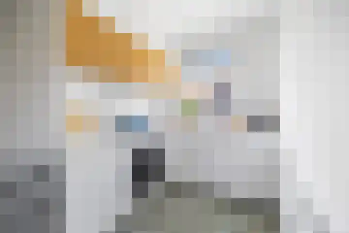 Da Costalaan 60 Rijswijk thumbnail 16