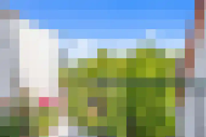 Da Costalaan 60 Rijswijk thumbnail 21
