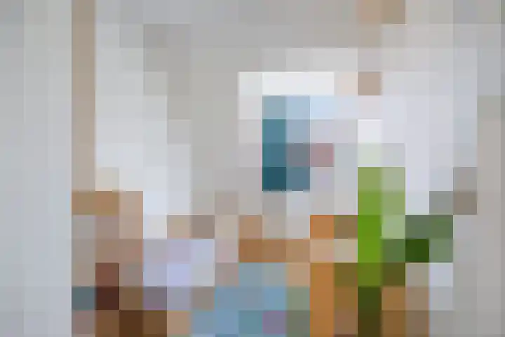 Da Costalaan 60 Rijswijk thumbnail 22