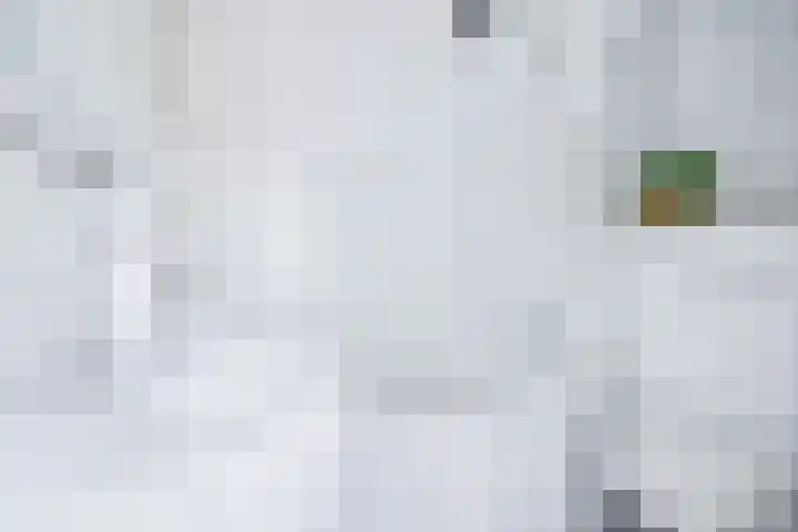 Da Costalaan 60 Rijswijk thumbnail 26