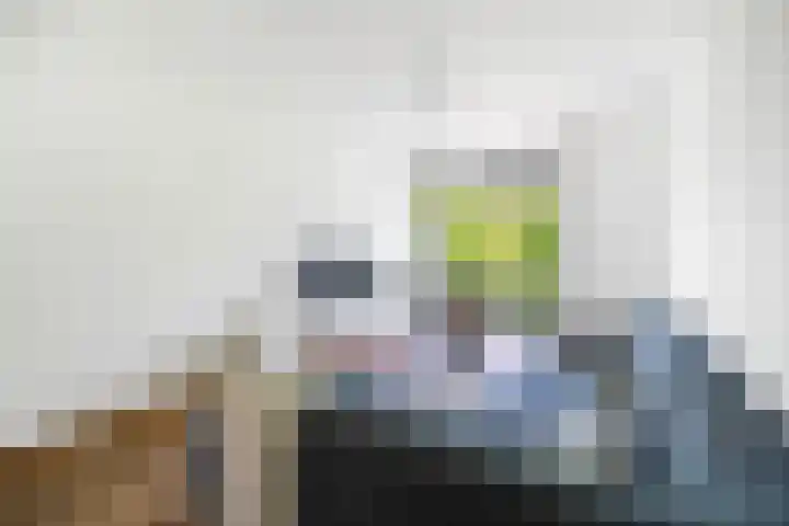 Da Costalaan 60 Rijswijk thumbnail 5