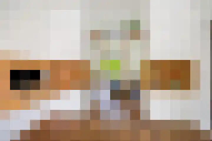 Da Costalaan 60 Rijswijk thumbnail 9