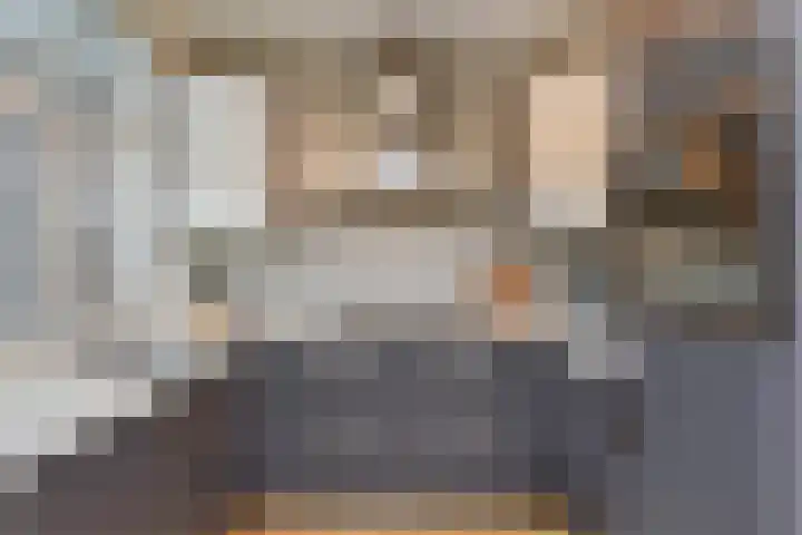 Da Costalaan 67 Rijswijk thumbnail 20