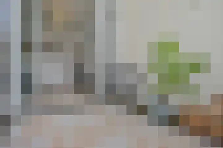 Da Costalaan 67 Rijswijk thumbnail 36