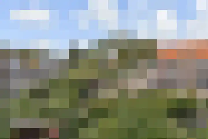 Da Costalaan 67 Rijswijk thumbnail 41