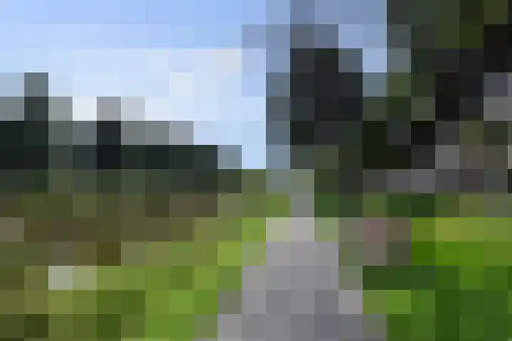 Da Costalaan 67 Rijswijk thumbnail 42