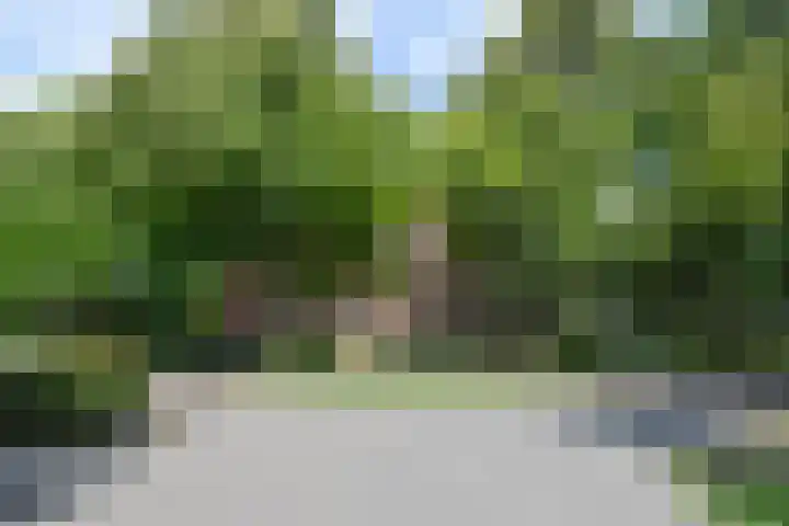 Da Costalaan 67 Rijswijk thumbnail 43