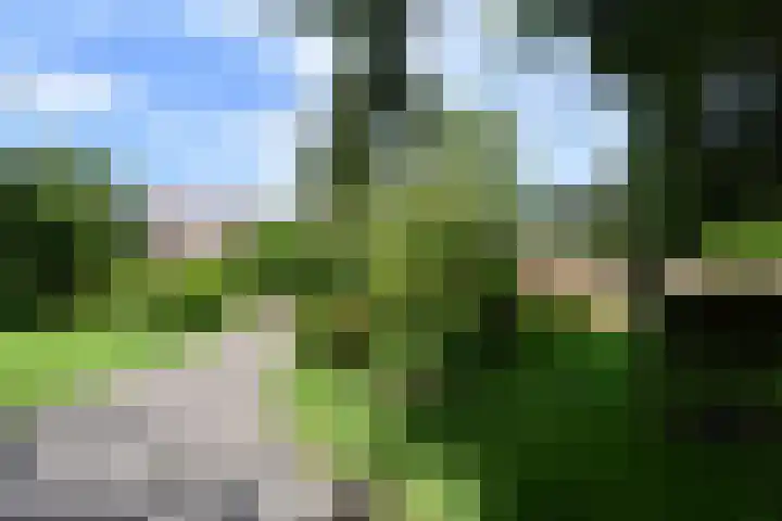 Da Costalaan 67 Rijswijk thumbnail 46